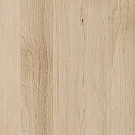 Sand Beech 