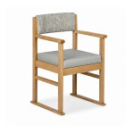 Apollo dining chair with skis