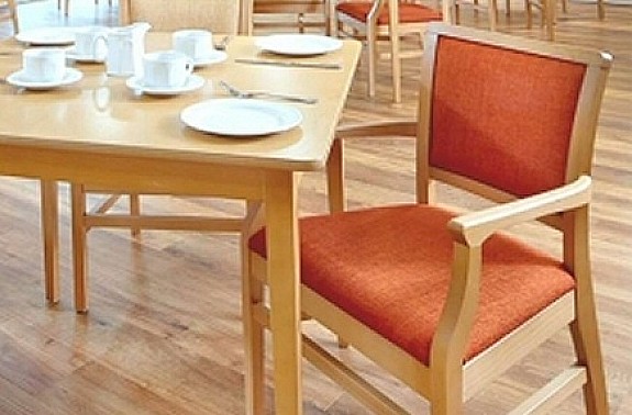 Dining Chairs with Skis