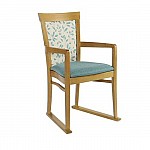 Elice Care Home Dining Chairs with Skis
