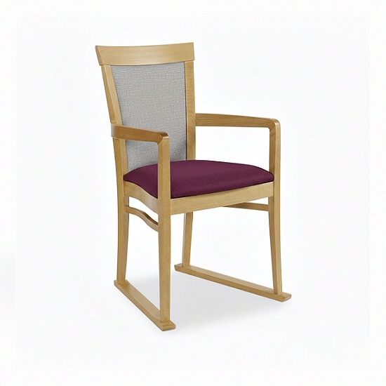 Elice Contract Dining Chair with Skis