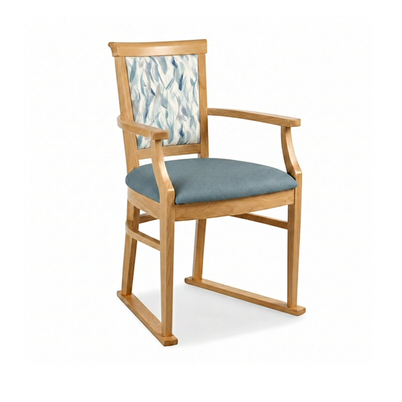 Nice Care Home Dining Chair with Skis