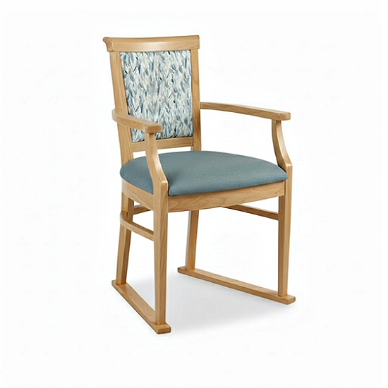 Nice Contract Dining Chair with Skis