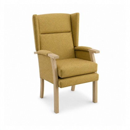 Roma Care Home Wing Chair