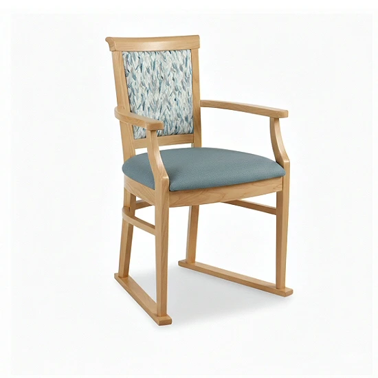 Nice Dining Chair with Skis