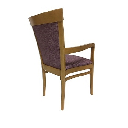 Elice Care & Nursing Home Dining Chair with Skis