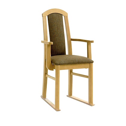 Valencia Care & Nursing Home Dining Chair with Skis