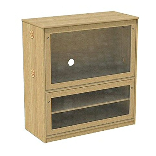 Challenging Behaviour Secure TV Cabinets